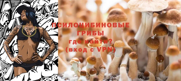 гашиш Аркадак