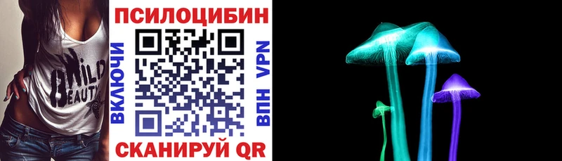 Галлюциногенные грибы Psilocybe  Октябрьск 